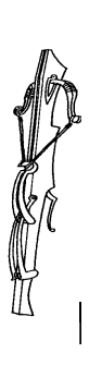 Heavy Crossbow
