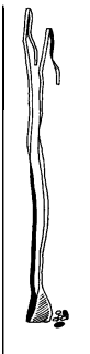 Sling